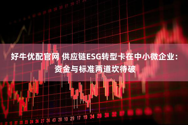 好牛优配官网 供应链ESG转型卡在中小微企业： 资金与标准两道坎待破