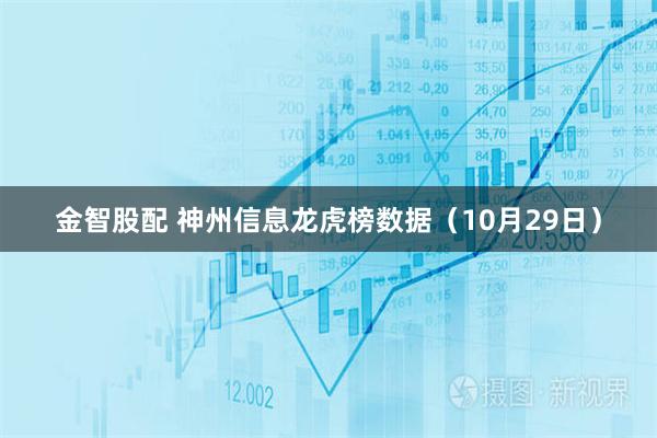 金智股配 神州信息龙虎榜数据（10月29日）
