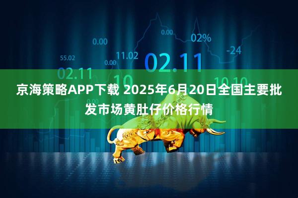京海策略APP下载 2025年6月20日全国主要批发市场黄肚仔价格行情